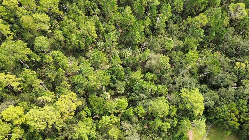 На продажу: $40,000 (0.34 acres)