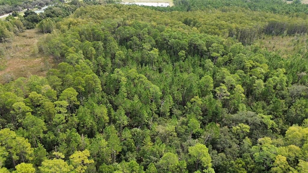 На продажу: $40,000 (0.34 acres)