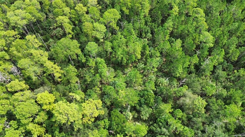 На продажу: $40,000 (0.34 acres)