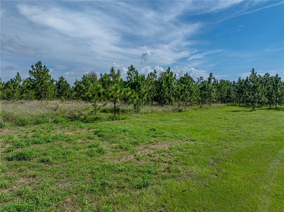 待售: $849,900 (3 贝兹, 2 浴室, 2011 平方英尺)