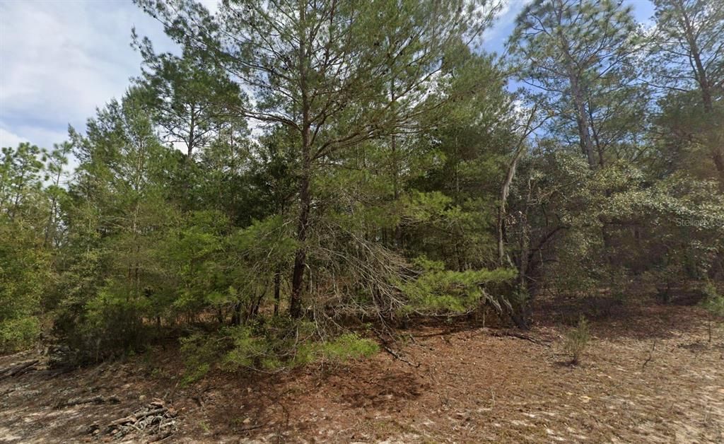 待售: $8,499 (0.22 acres)