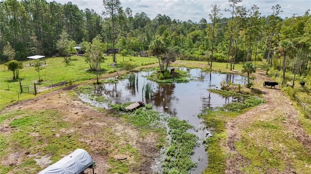 На продажу: $399,000 (4 спален, 2 ванн, 2295 Квадратных фут)