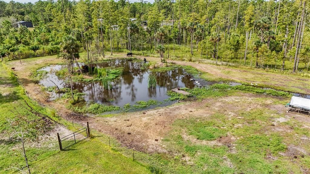 На продажу: $399,000 (4 спален, 2 ванн, 2295 Квадратных фут)