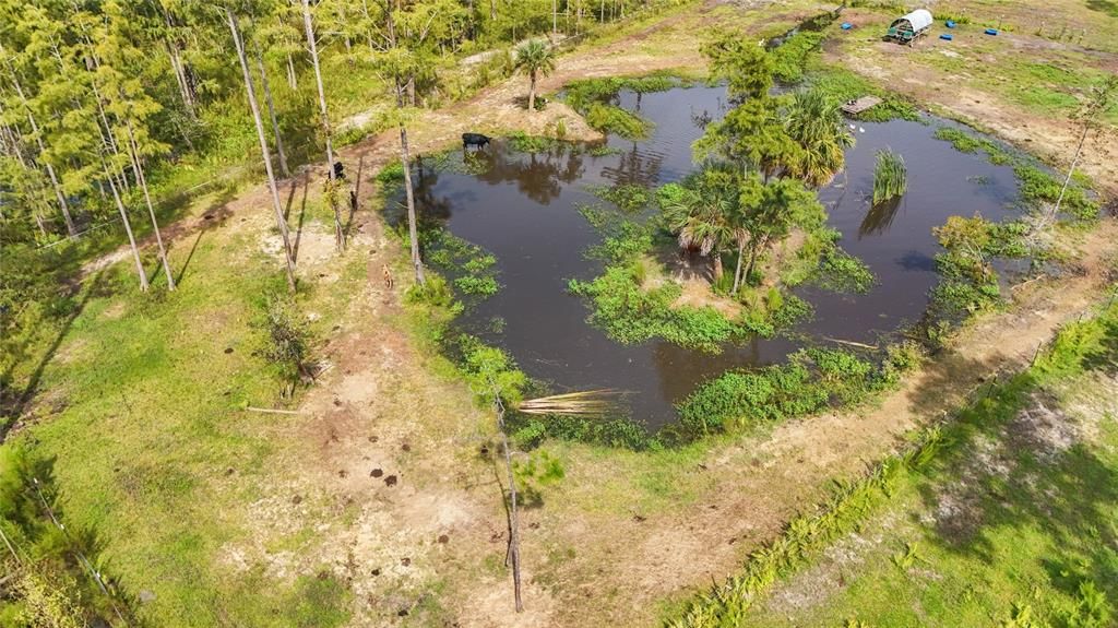 На продажу: $399,000 (4 спален, 2 ванн, 2295 Квадратных фут)