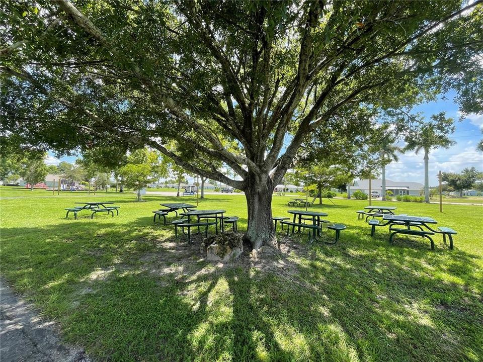 En Venta: $45,000 (0.22 acres)