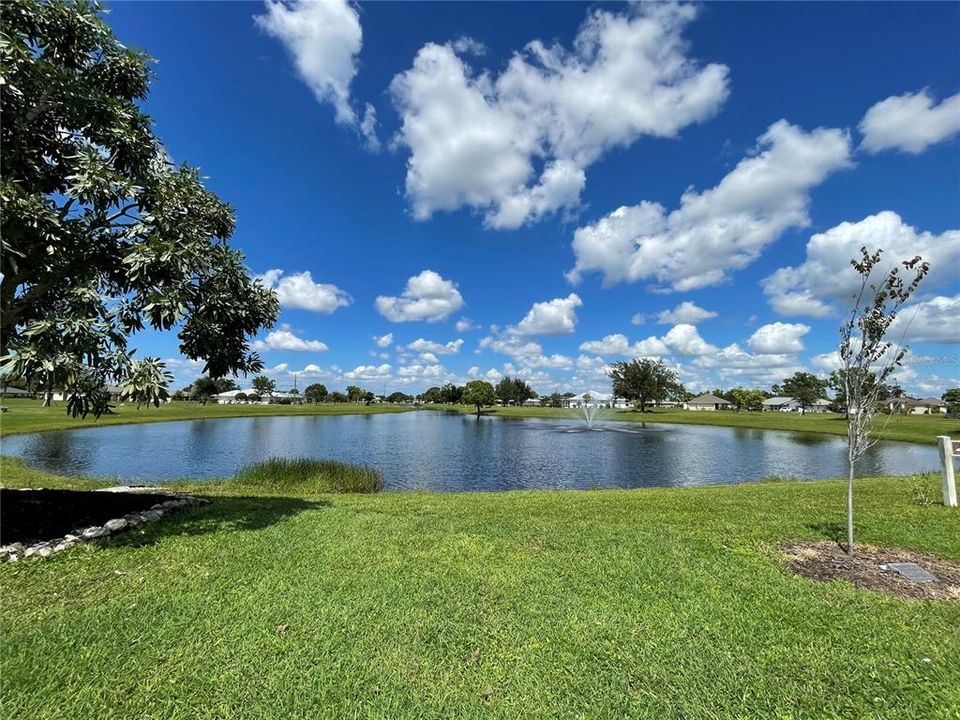 En Venta: $45,000 (0.22 acres)