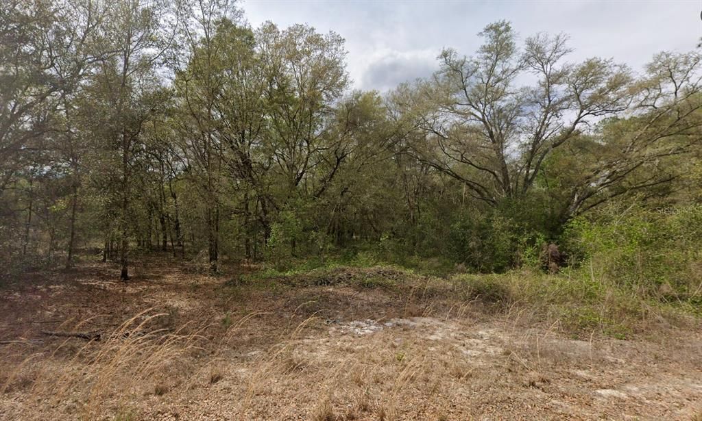 For Sale: $8,499 (0.22 acres)