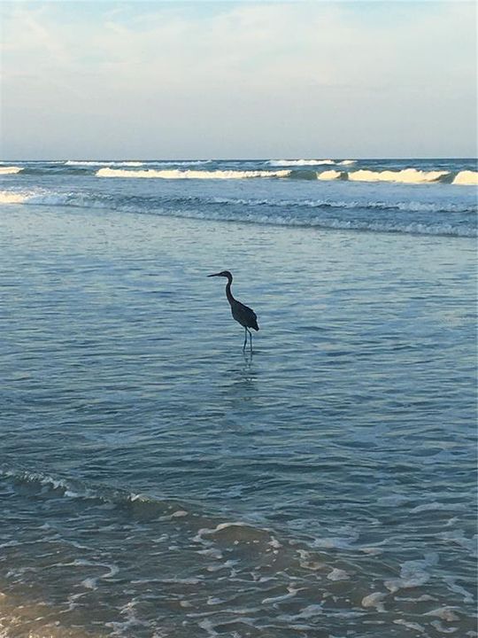 For Sale: $449,000 (2 beds, 2 baths, 885 Square Feet)