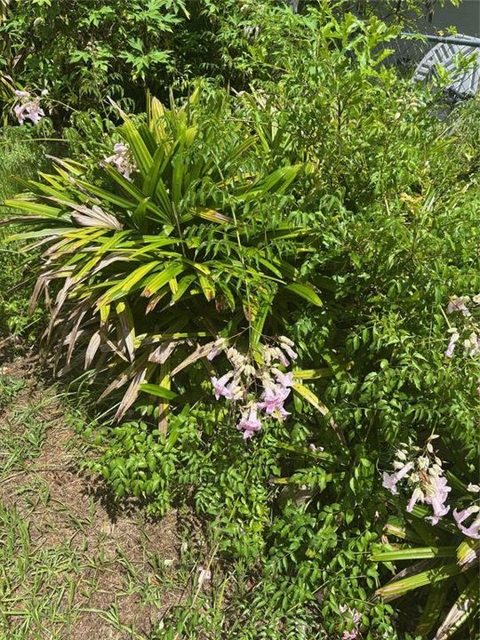 Под контрактом: $239,000 (3 спален, 1 ванн, 831 Квадратных фут)