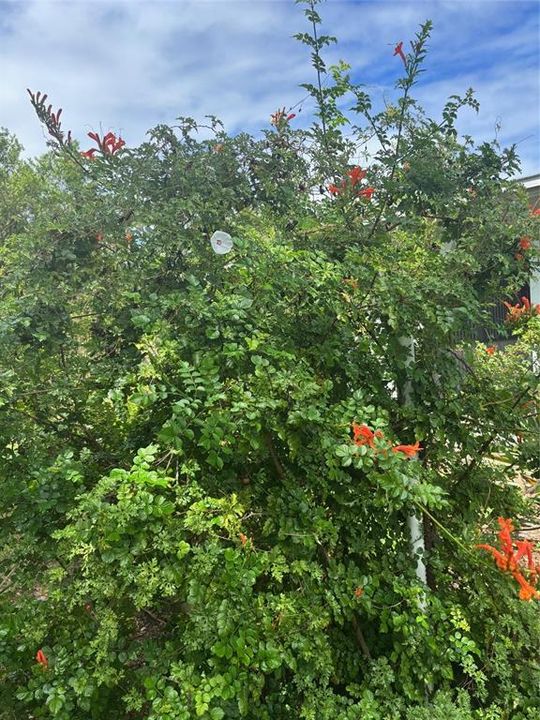 Под контрактом: $239,000 (3 спален, 1 ванн, 831 Квадратных фут)