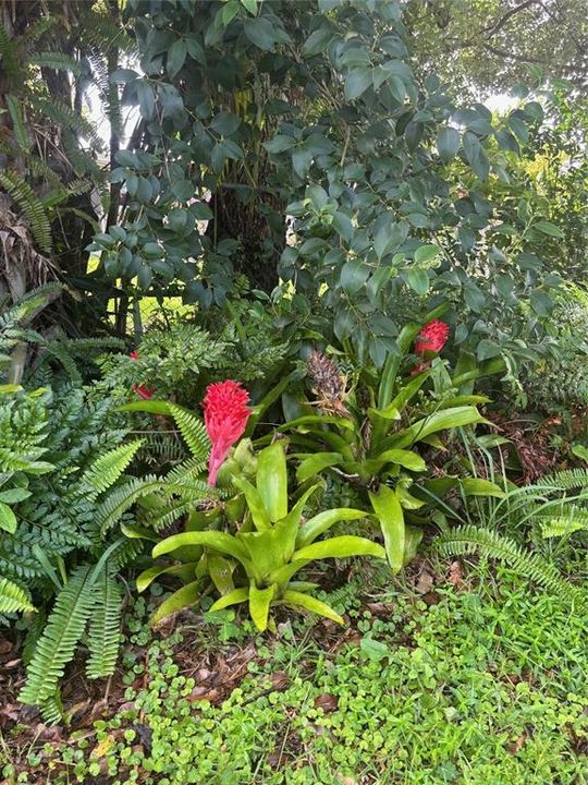 Под контрактом: $239,000 (3 спален, 1 ванн, 831 Квадратных фут)