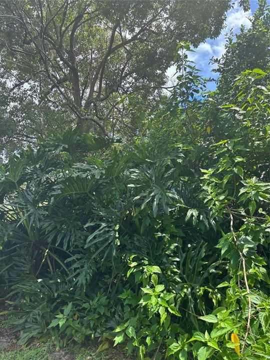 Под контрактом: $239,000 (3 спален, 1 ванн, 831 Квадратных фут)