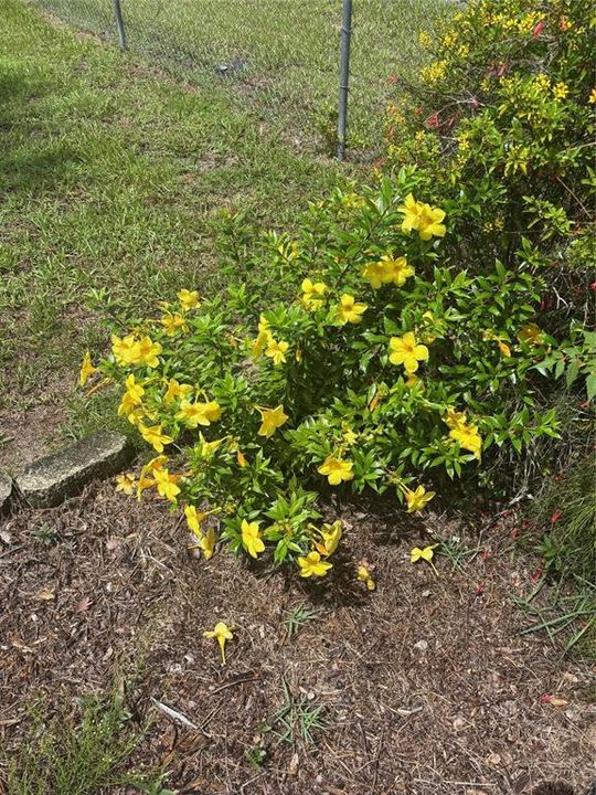 Под контрактом: $239,000 (3 спален, 1 ванн, 831 Квадратных фут)