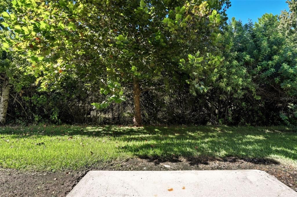 Под контрактом: $279,900 (3 спален, 2 ванн, 1915 Квадратных фут)