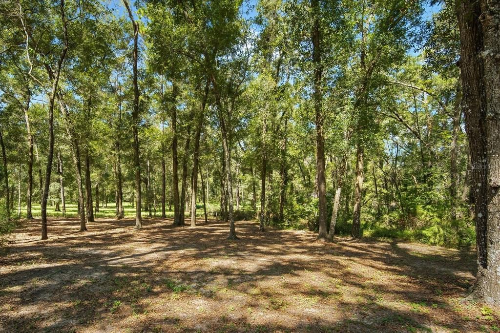 合同活跃: $325,000 (2 贝兹, 1 浴室, 864 平方英尺)