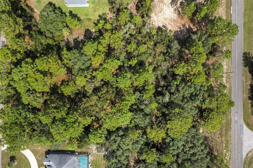 Active With Contract: $24,500 (0.23 acres)