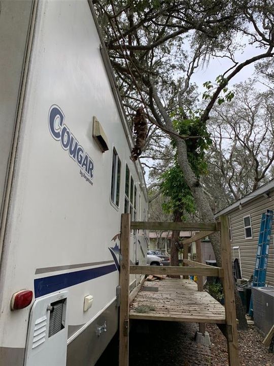 For Rent: $800 (1 beds, 1 baths, 320 Square Feet)