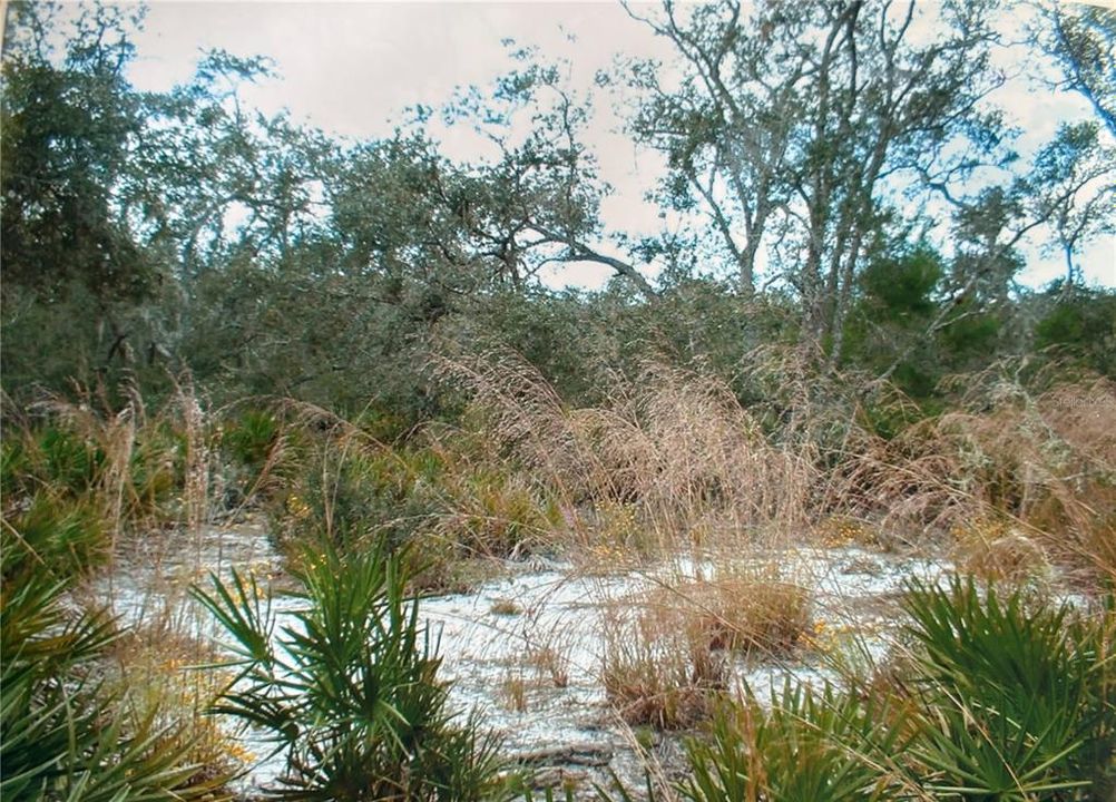 For Sale: $80,000 (3.04 acres)