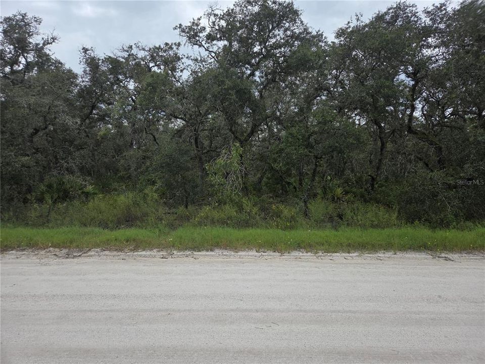 For Sale: $80,000 (3.04 acres)