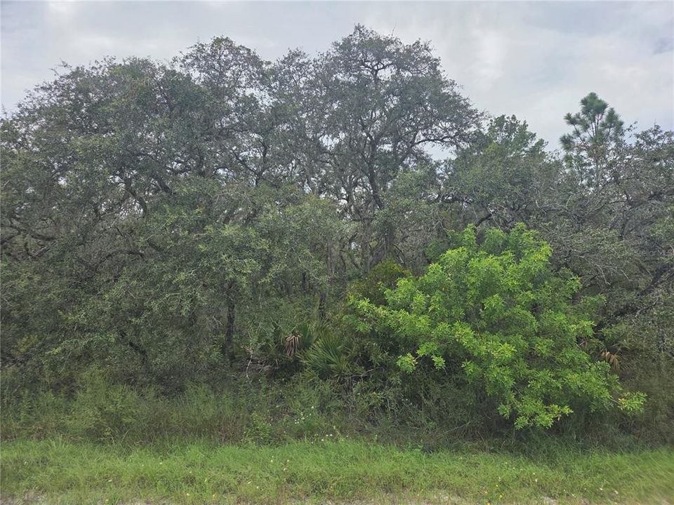 For Sale: $80,000 (3.04 acres)