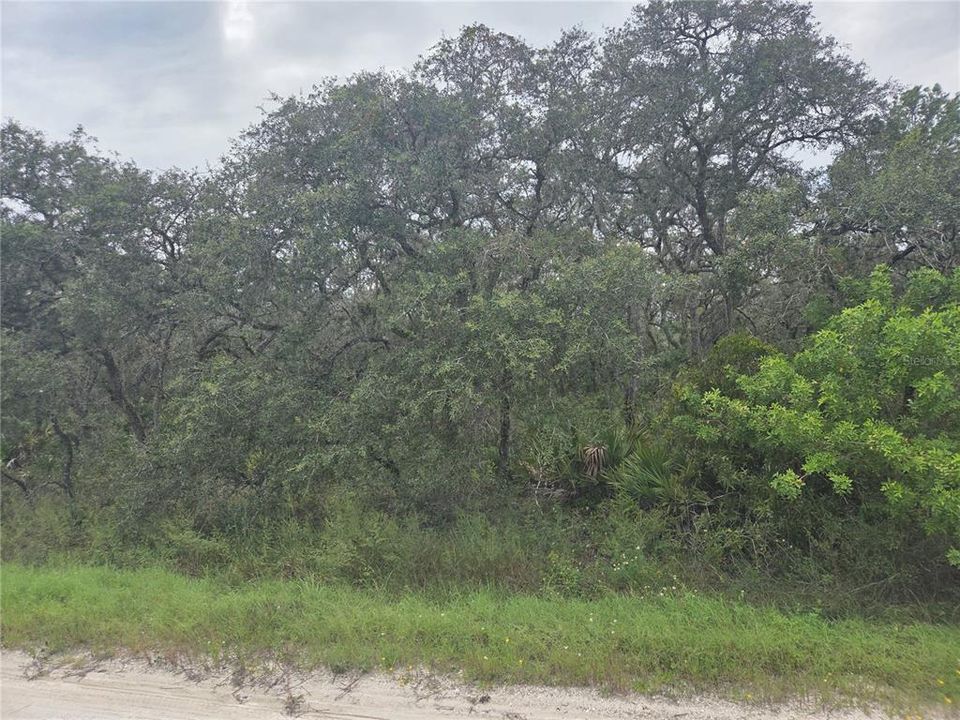 For Sale: $80,000 (3.04 acres)