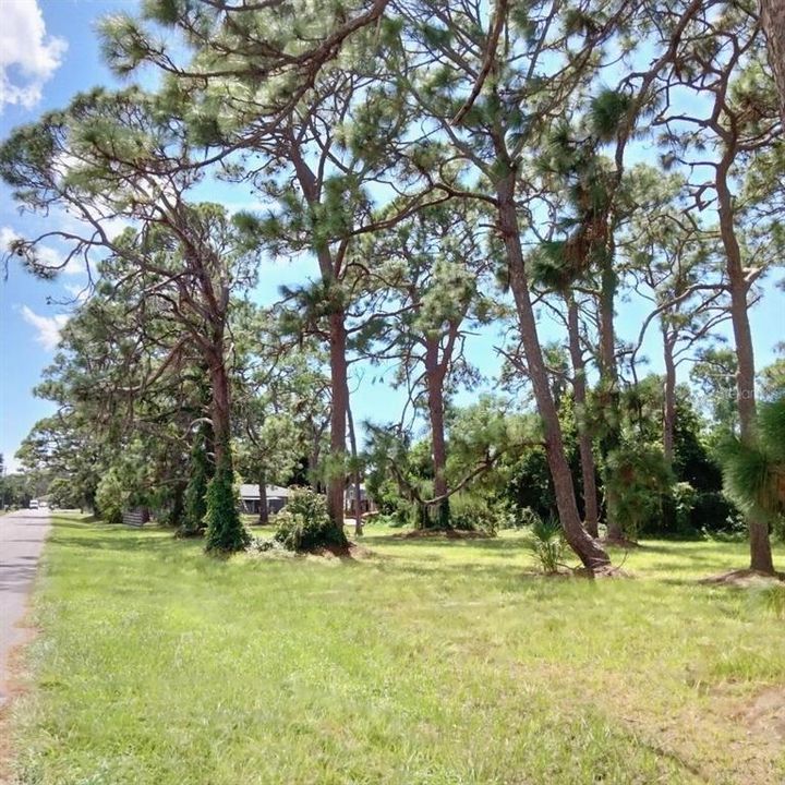 最近售出: $120,000 (0.51 acres)