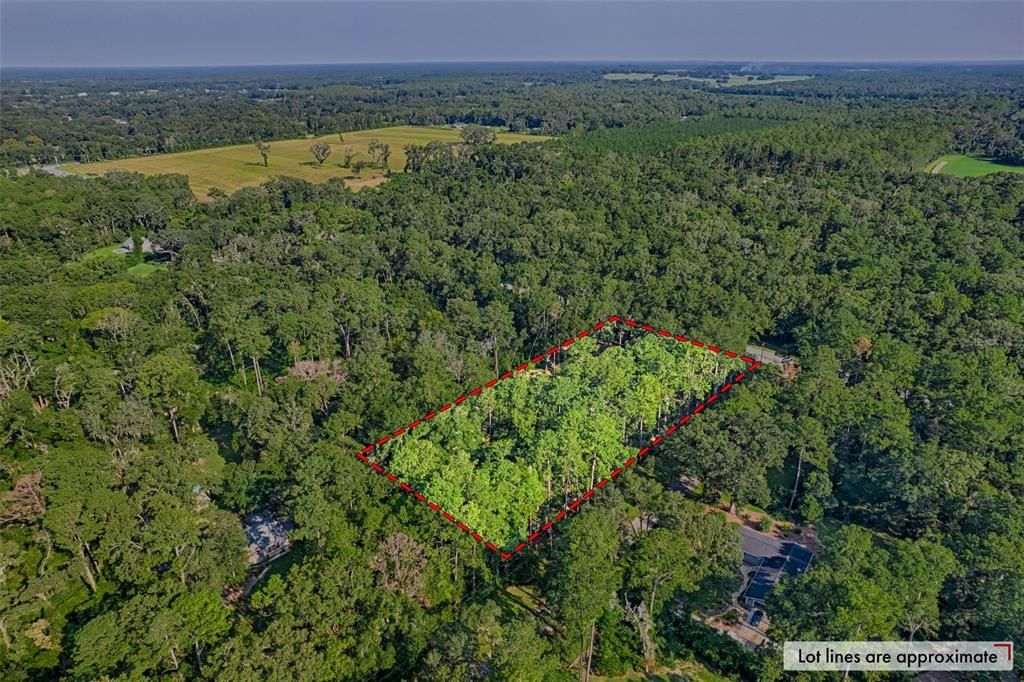 合同活跃: $429,000 (3 贝兹, 2 浴室, 2222 平方英尺)