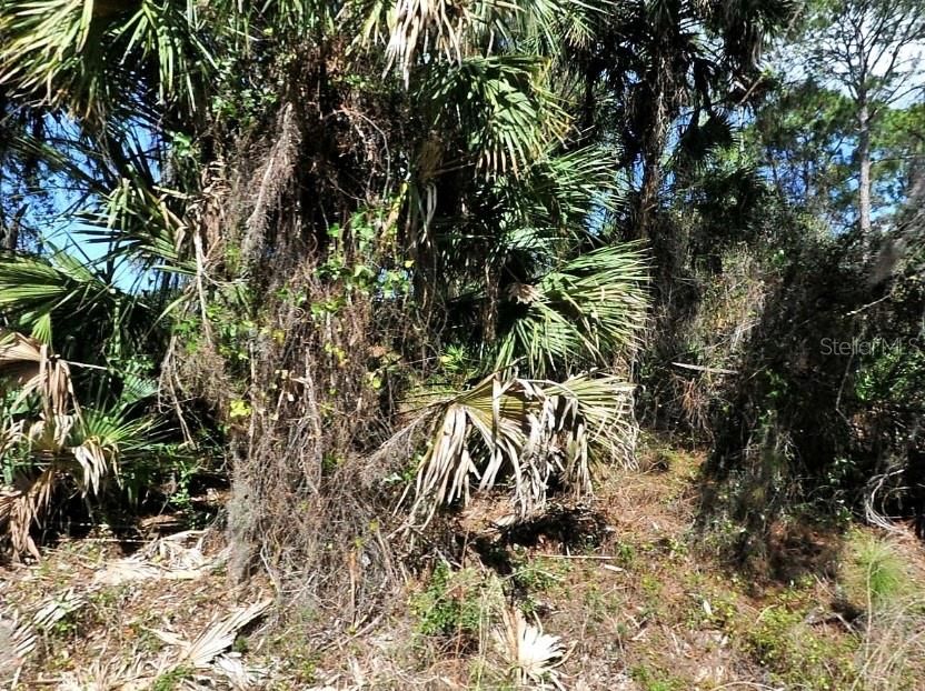 En Venta: $18,000 (0.23 acres)