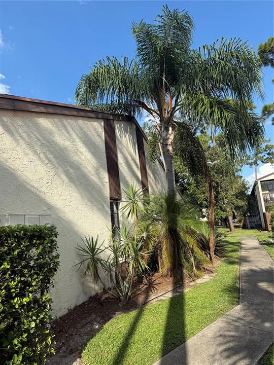 待售: $182,000 (2 贝兹, 2 浴室, 1062 平方英尺)