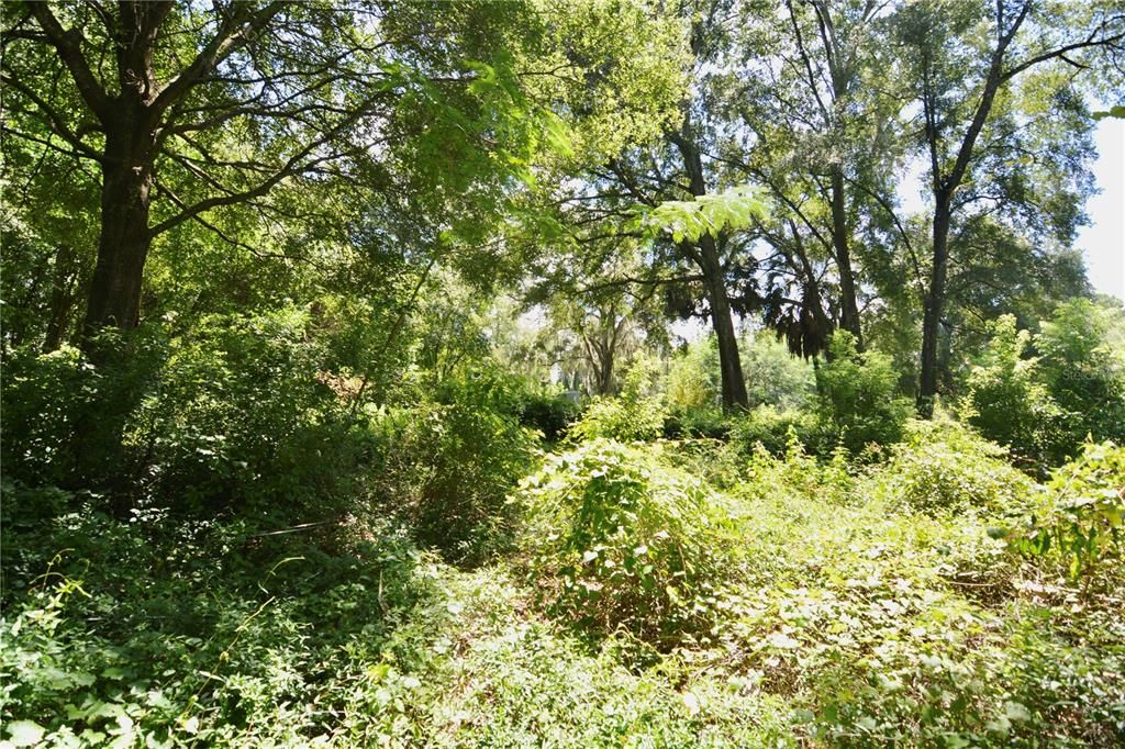 待售: $150,000 (3.24 acres)