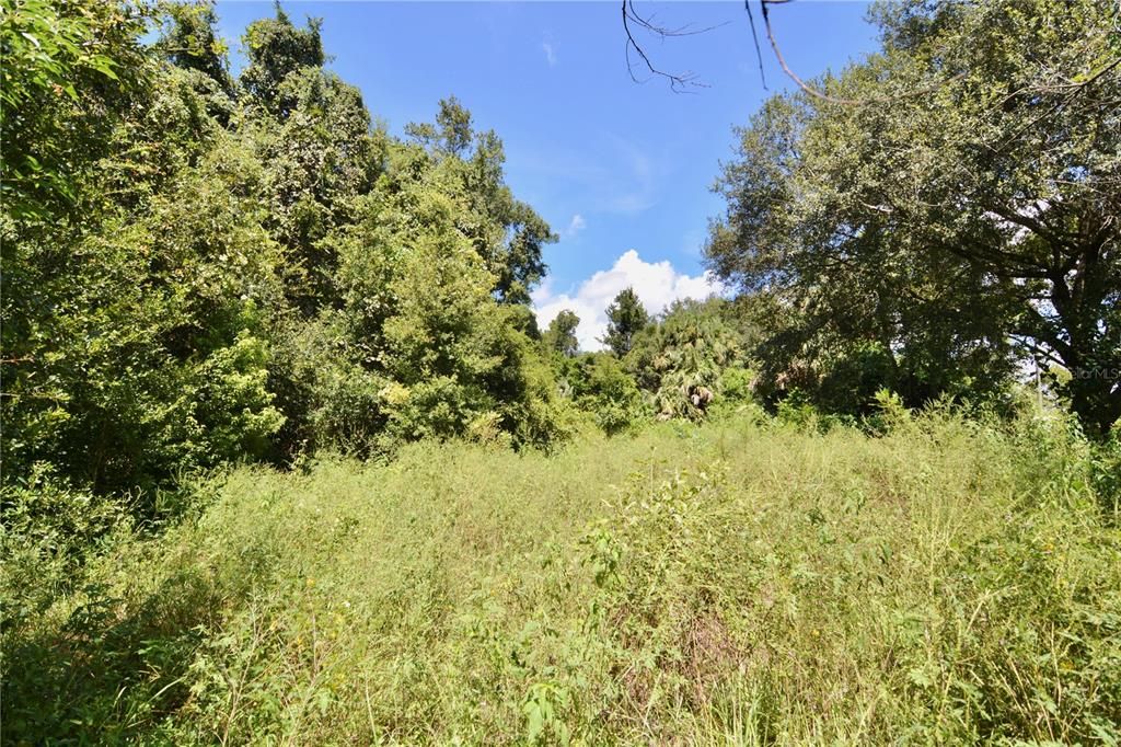 待售: $150,000 (3.24 acres)