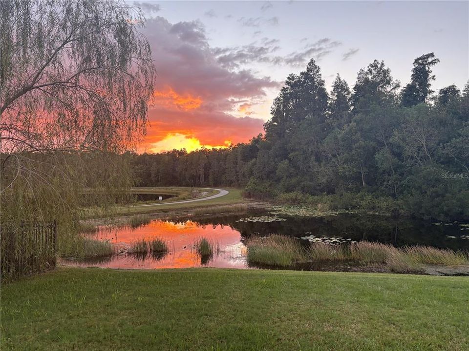 Под контрактом: $440,000 (4 спален, 3 ванн, 2260 Квадратных фут)