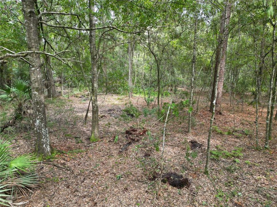 合同活跃: $174,900 (2.47 acres)