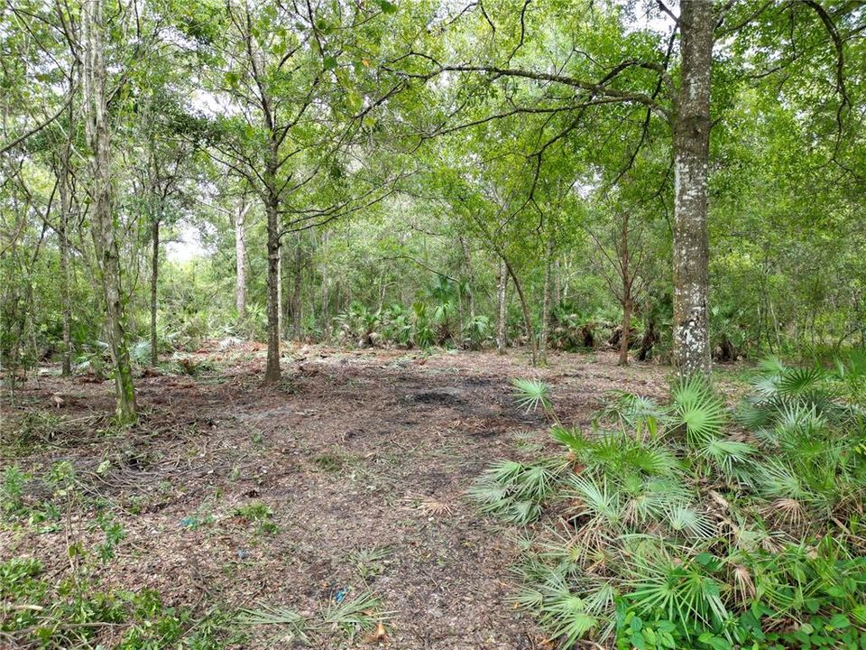 合同活跃: $174,900 (2.47 acres)