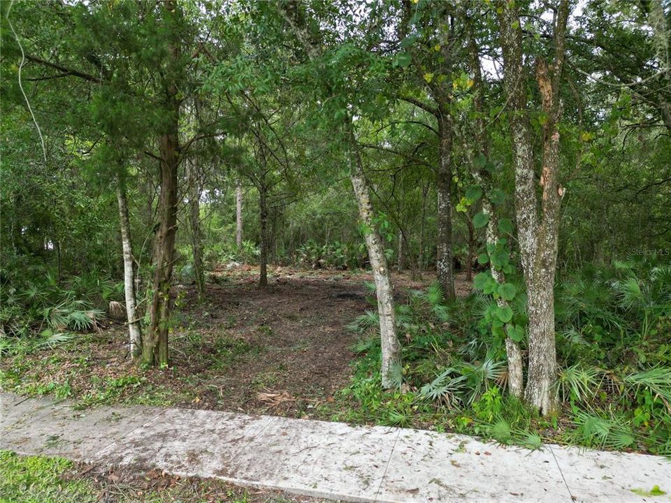 合同活跃: $174,900 (2.47 acres)