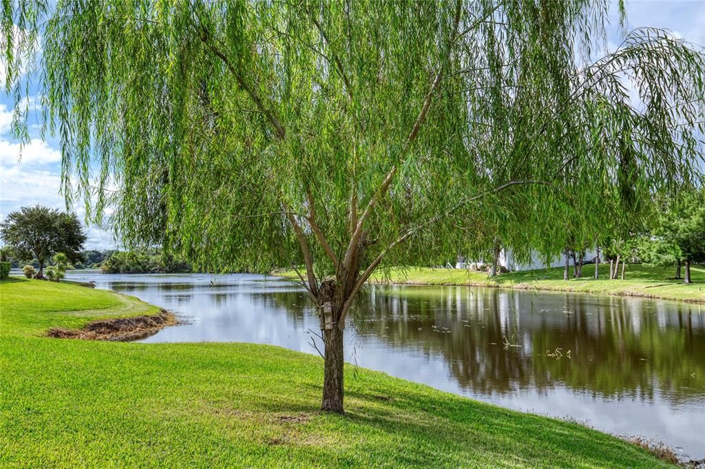 For Sale: $705,000 (4 beds, 3 baths, 2990 Square Feet)