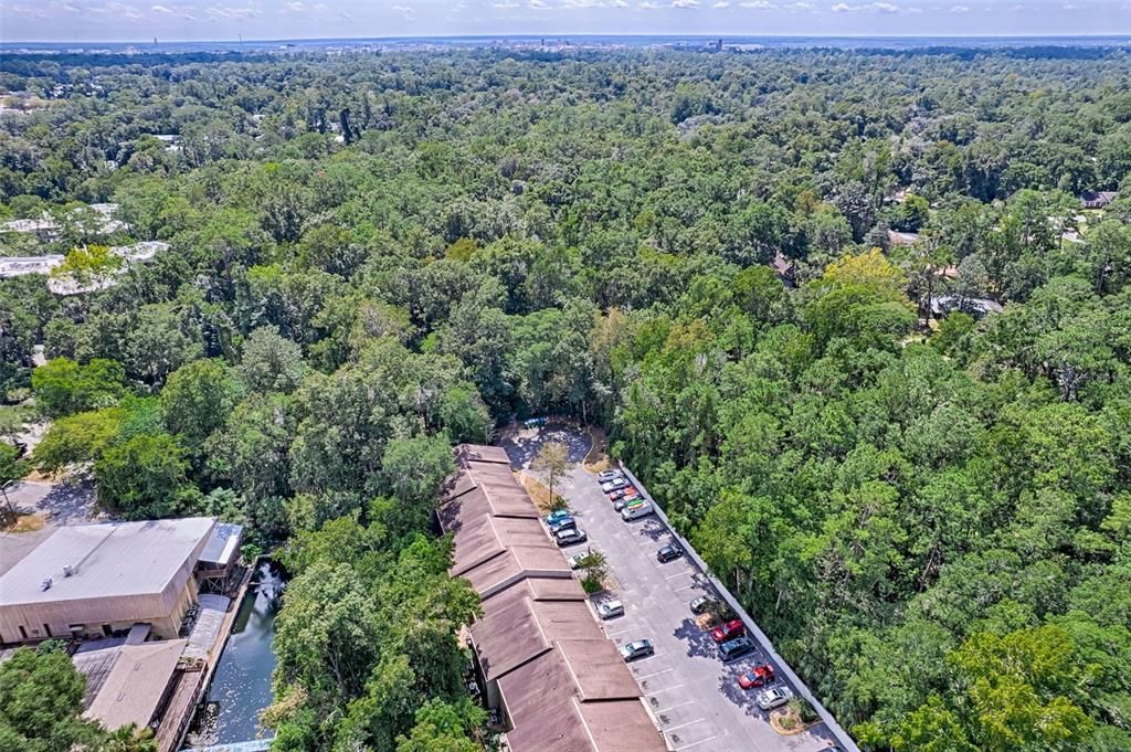 待售: $109,900 (1 贝兹, 1 浴室, 705 平方英尺)