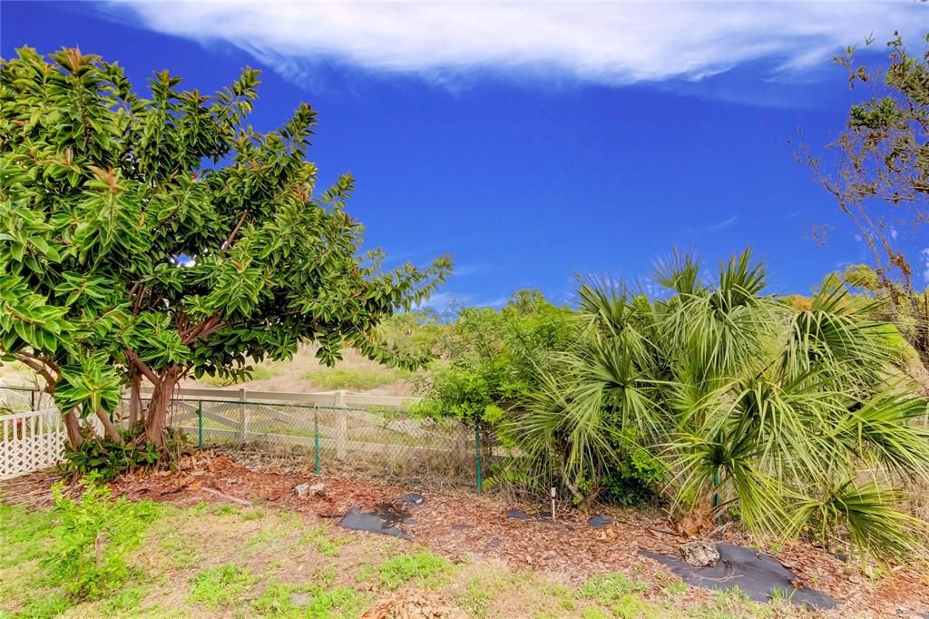 合同活跃: $4,000 (3 贝兹, 2 浴室, 1882 平方英尺)