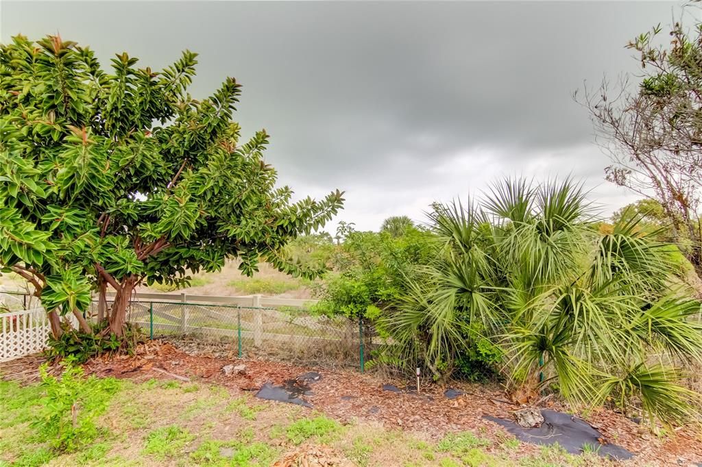 合同活跃: $4,000 (3 贝兹, 2 浴室, 1882 平方英尺)