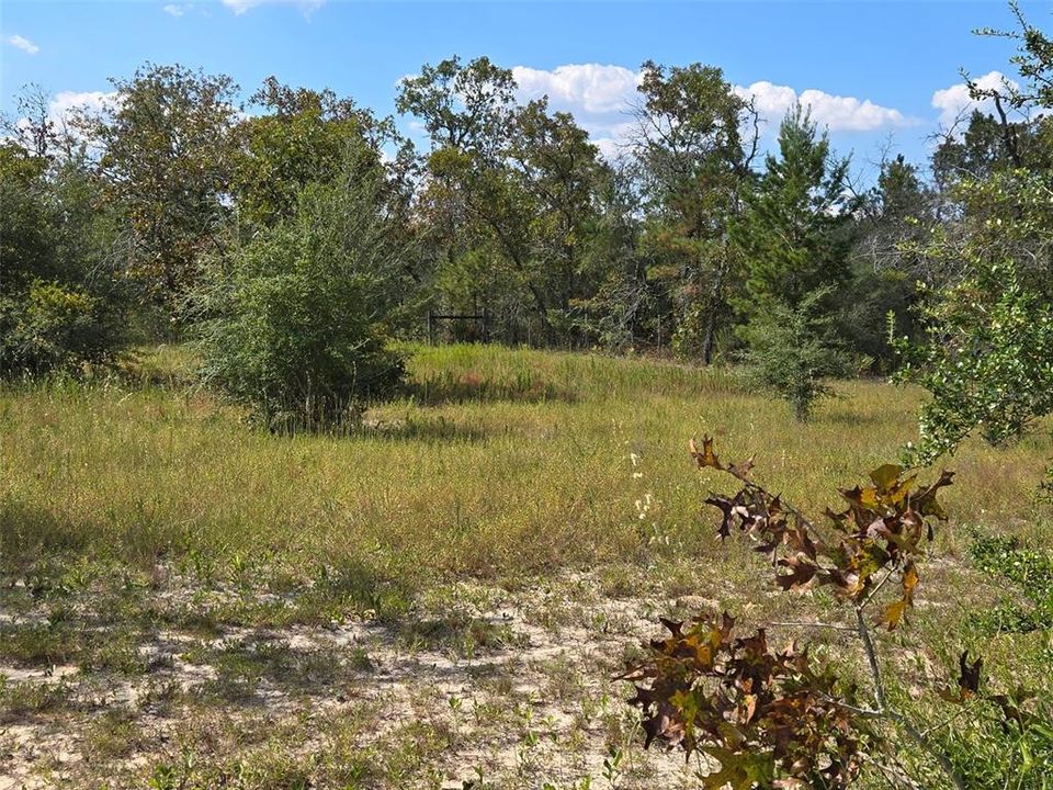 En Venta: $341,000 (3 camas, 2 baños, 1698 Pies cuadrados)