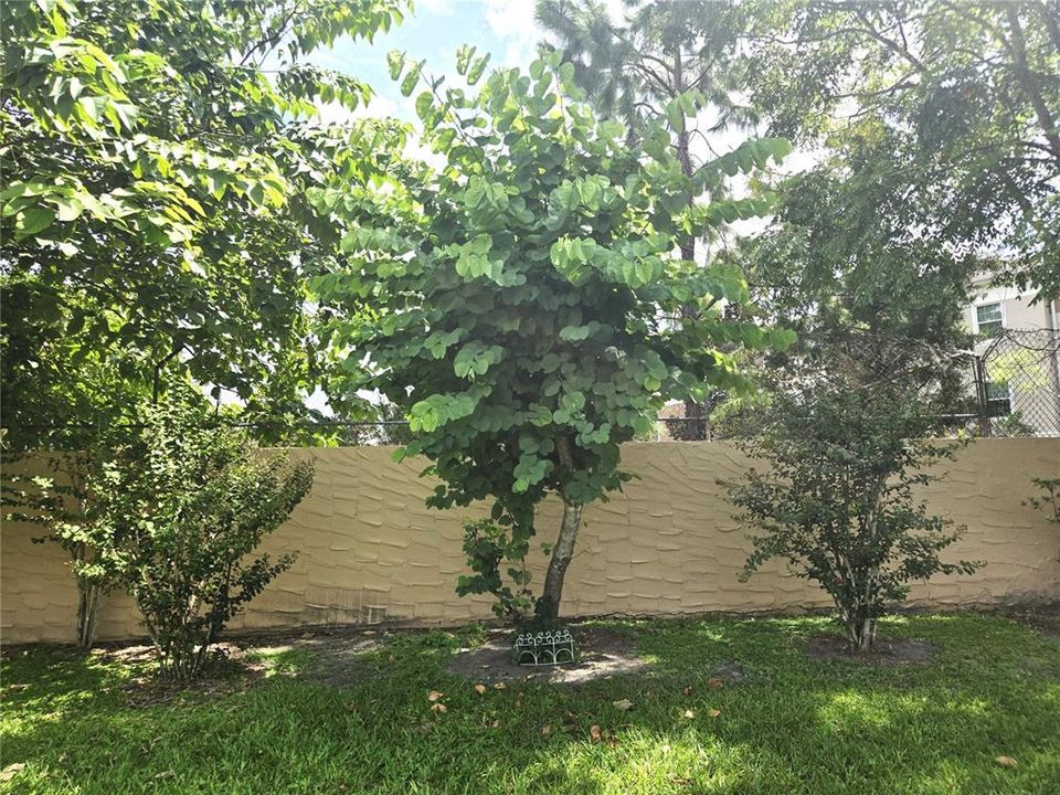 На продажу: $189,900 (2 спален, 2 ванн, 1164 Квадратных фут)