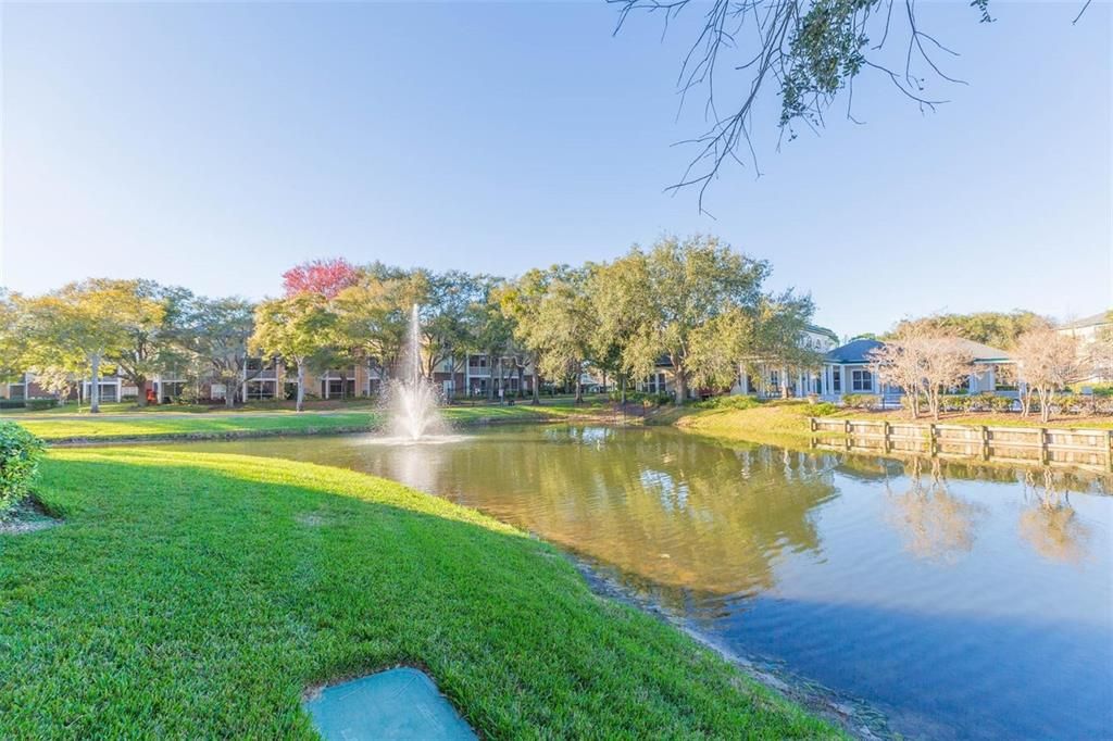 合同活跃: $139,900 (1 贝兹, 1 浴室, 738 平方英尺)