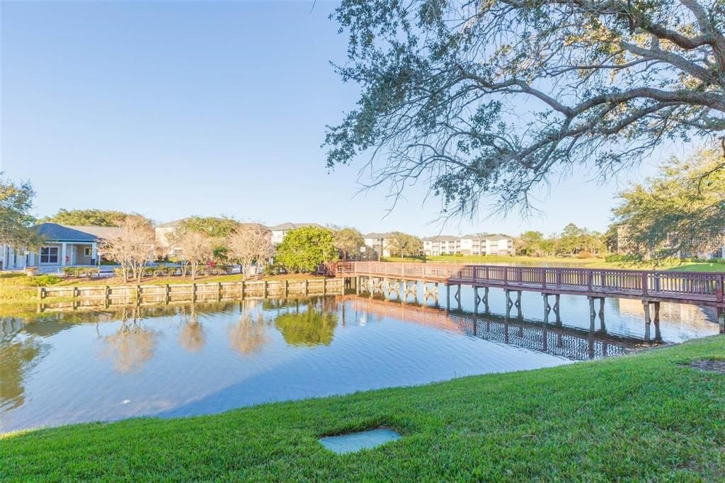 合同活跃: $139,900 (1 贝兹, 1 浴室, 738 平方英尺)