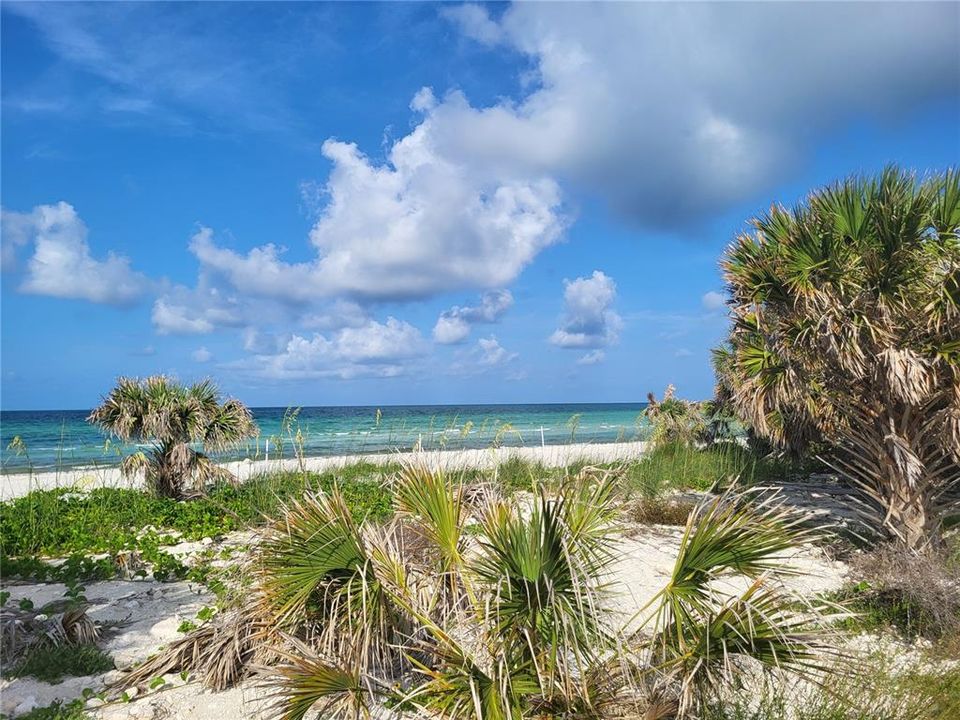 Под контрактом: $389,900 (3 спален, 2 ванн, 1596 Квадратных фут)