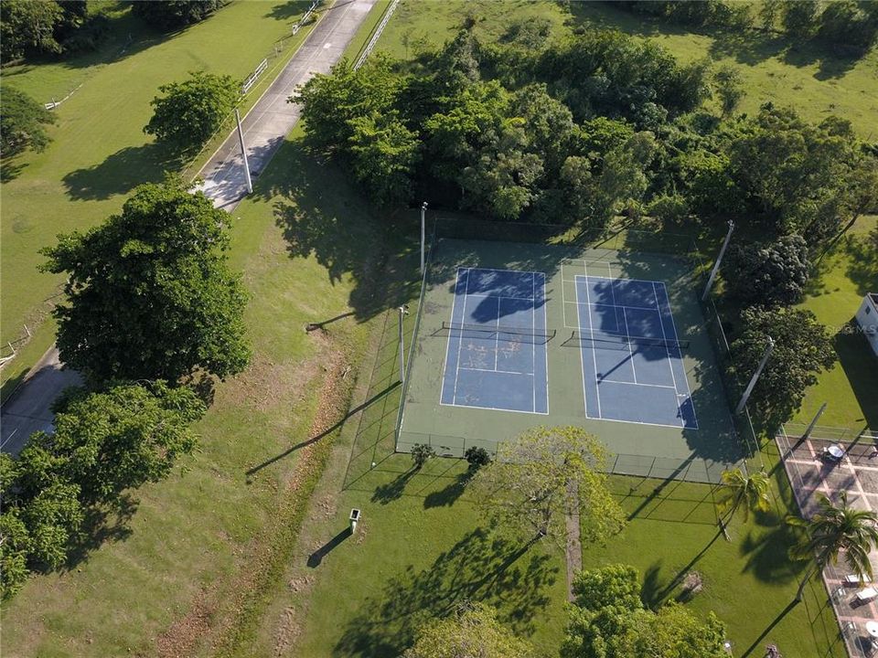 出租: $5,000 (4 贝兹, 3 浴室, 3277 平方英尺)