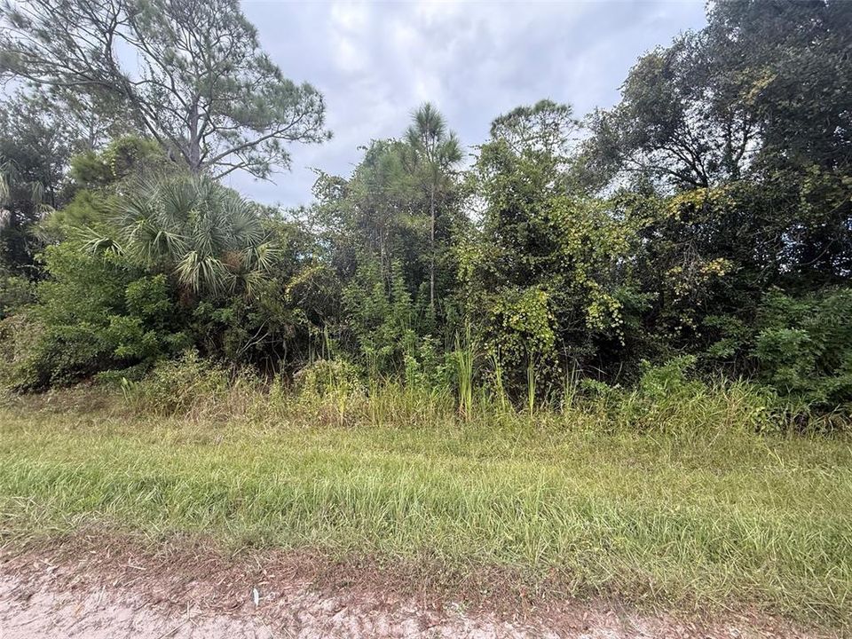 Active With Contract: $11,900 (0.23 acres)