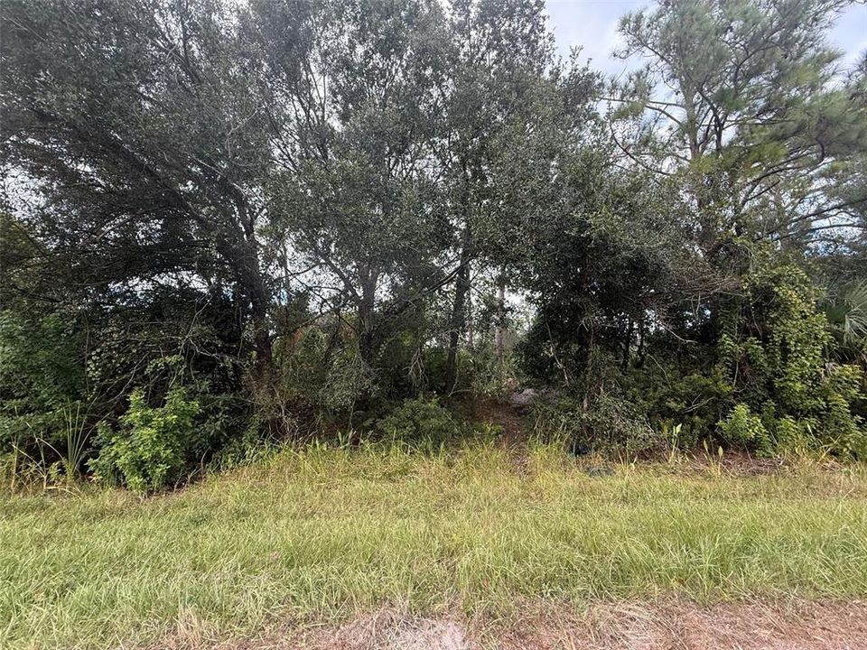 Active With Contract: $11,900 (0.23 acres)