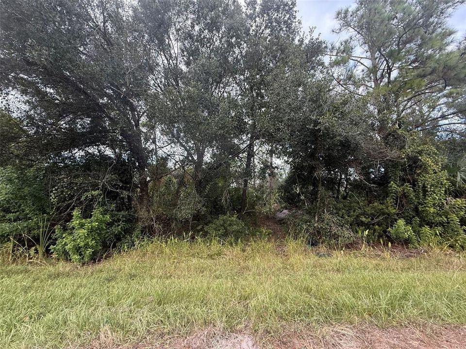 Active With Contract: $11,900 (0.23 acres)