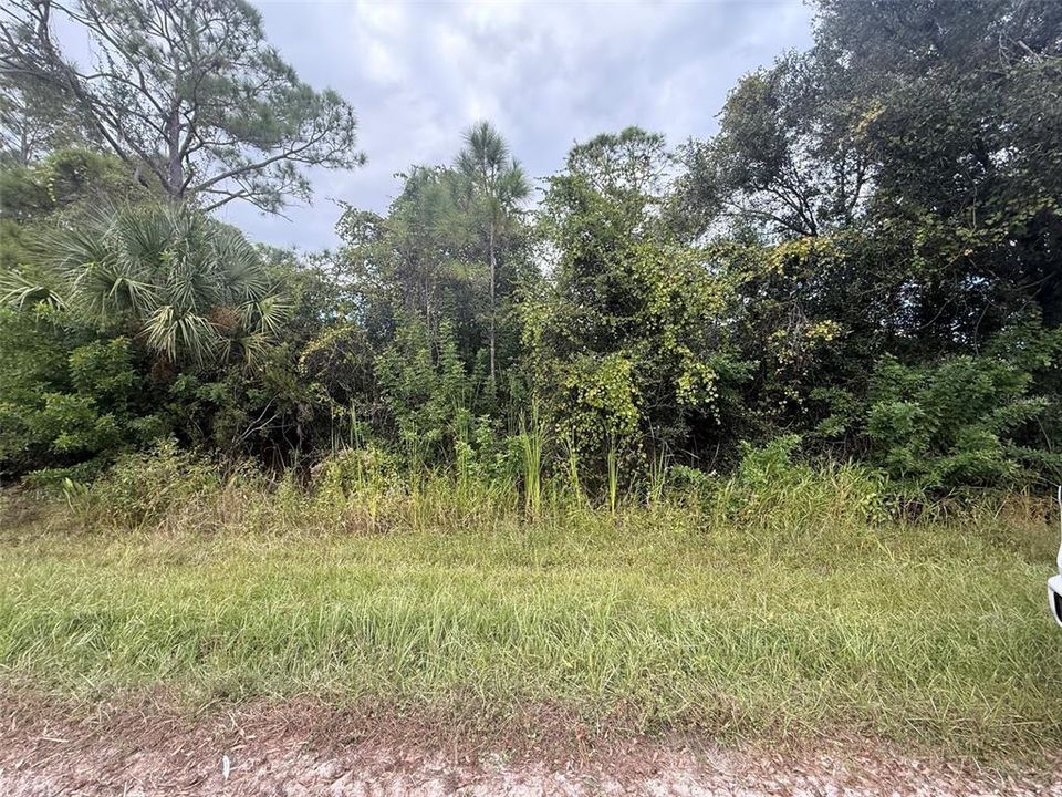 Active With Contract: $11,900 (0.23 acres)