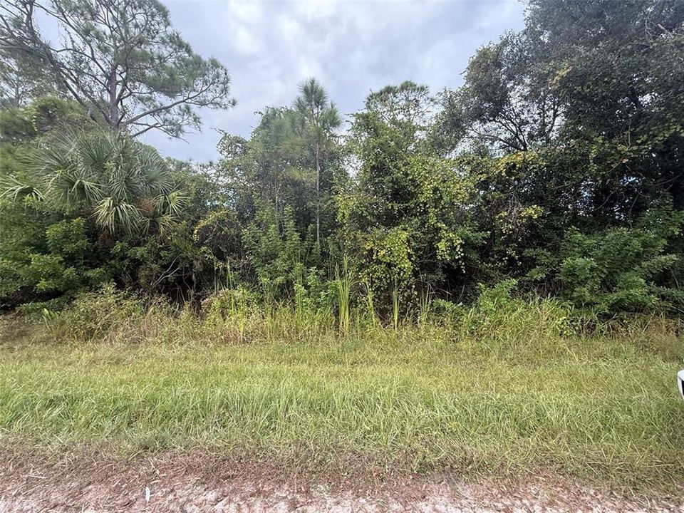 Active With Contract: $11,900 (0.23 acres)